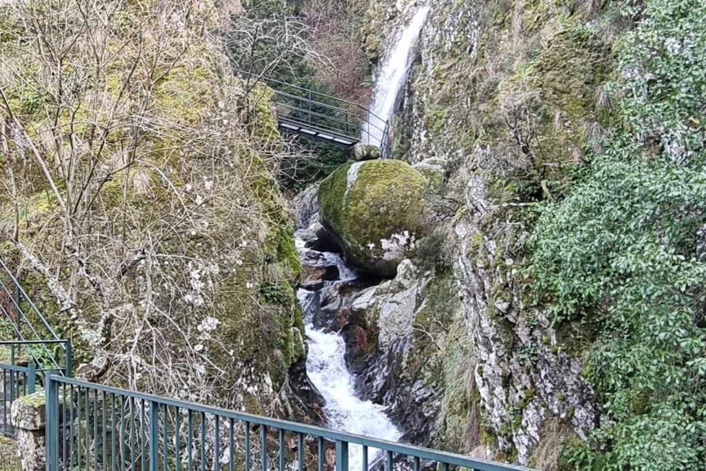 Photo of Others in Pero Viseu