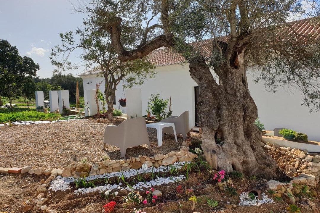 Photo of Others in Tavira
