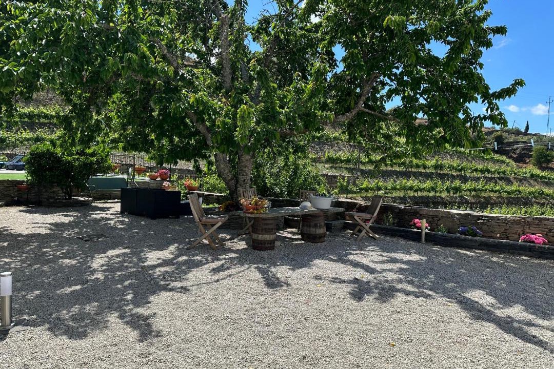 Photo of Others in Valenca do Douro