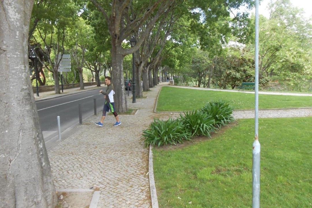 Photo of Others in Queluz