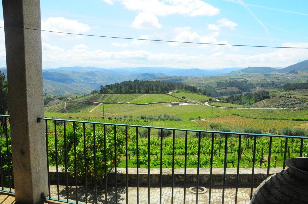 Photo of Others in Sabrosa