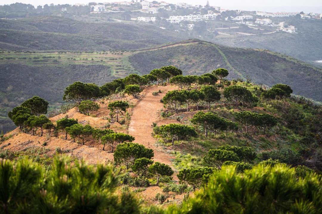 Photo of Others in Aljezur
