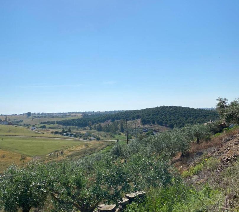 Photo of Others in Mertola