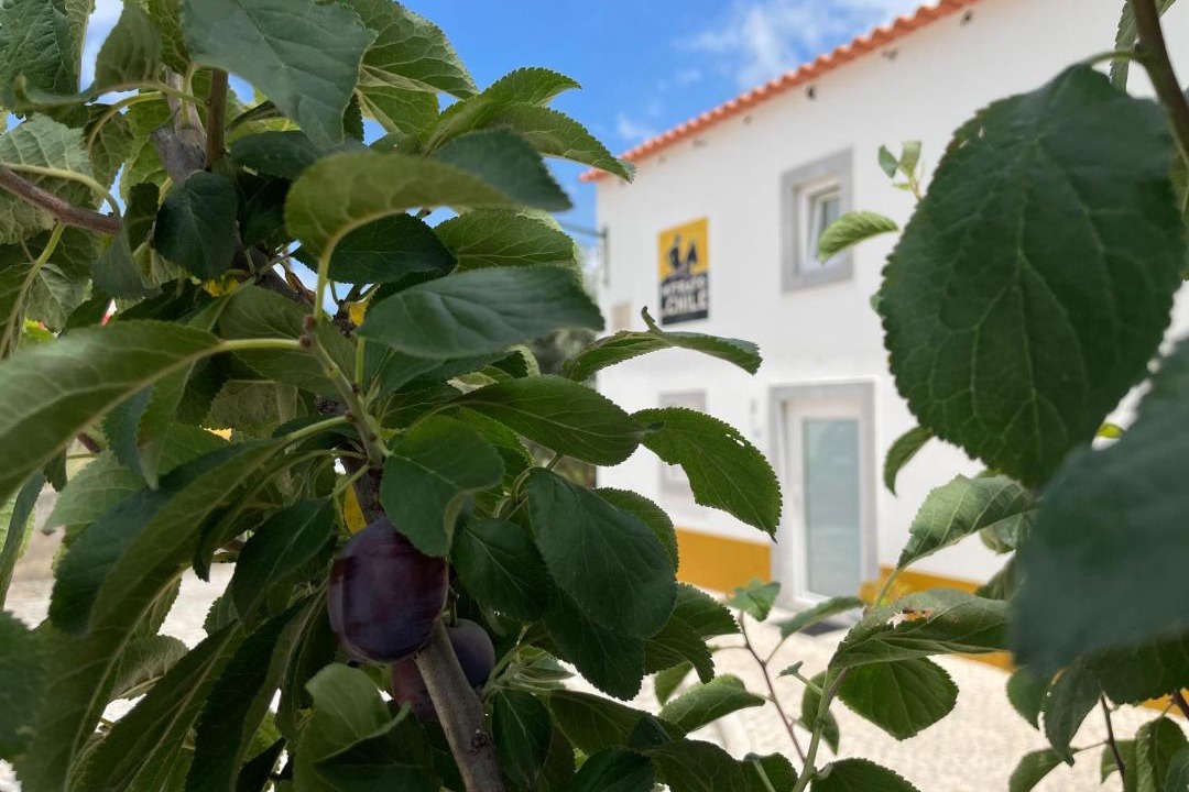 Photo of Others in Obidos