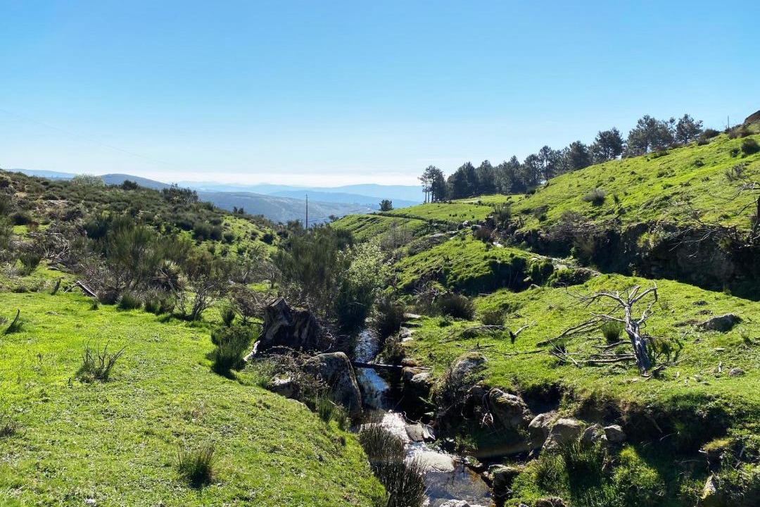 Photo of Others in Unhais da Serra