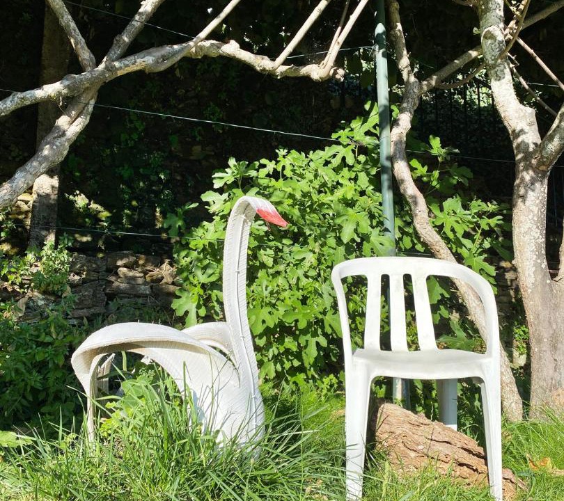 Photo of Others in Unhais da Serra