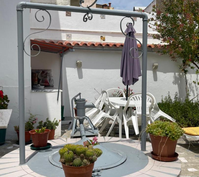 Photo of Others in Sao Juliao da Figueira da Foz