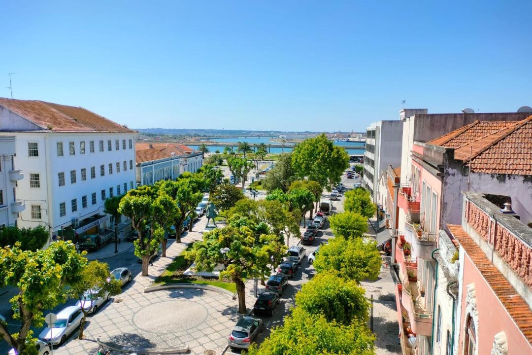 Photo of Others in Sao Juliao da Figueira da Foz