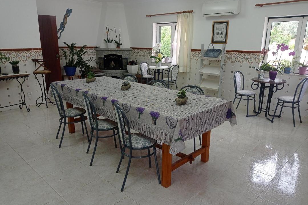 Photo of Kitchen in Arganil