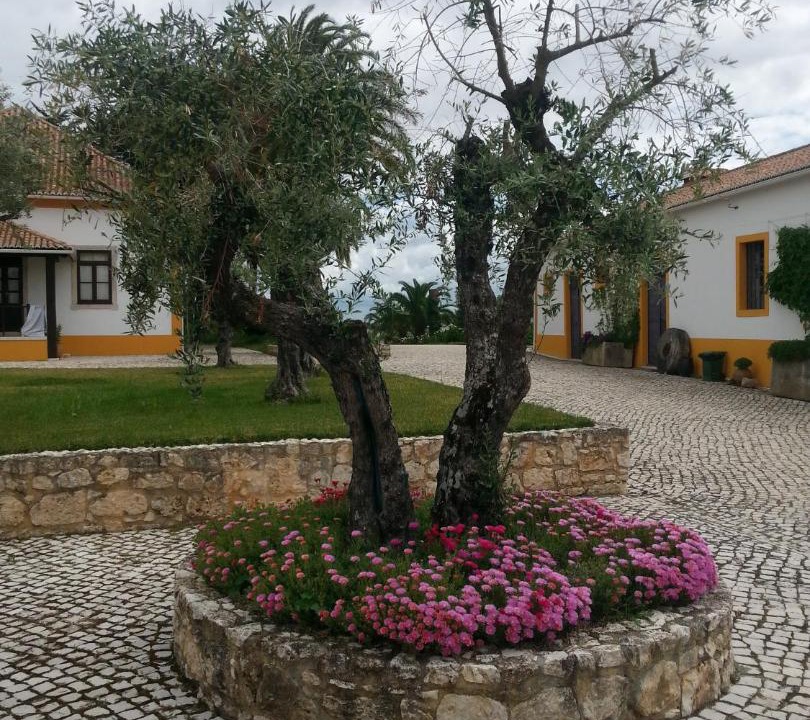 Photo of Others in Sao Vicente do Paul