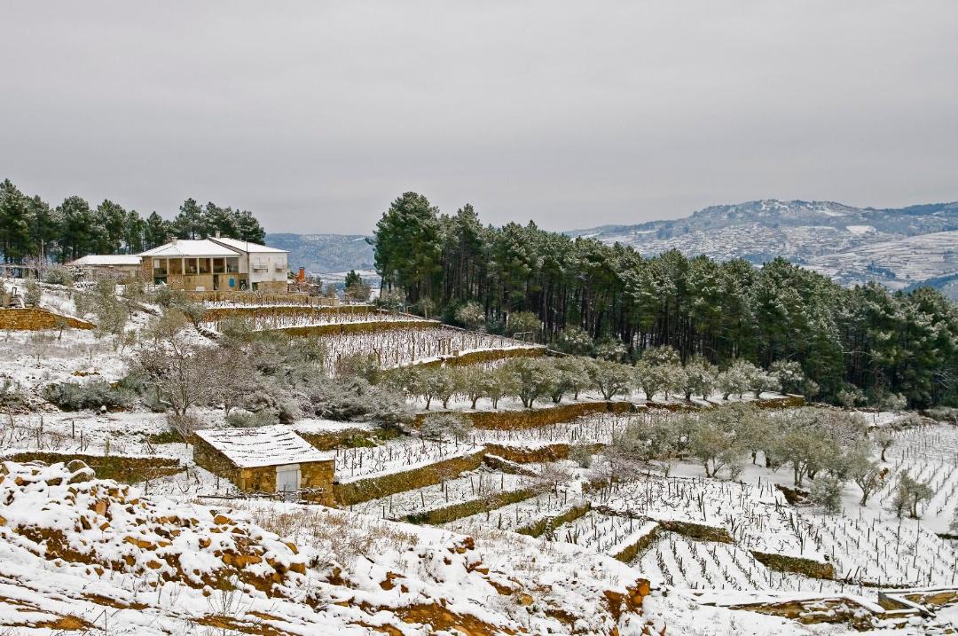 Photo of Others in Sabrosa
