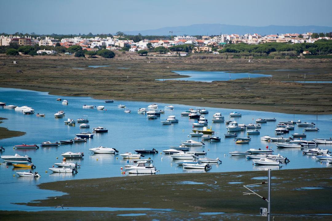 Photo of Others in Sao Pedro