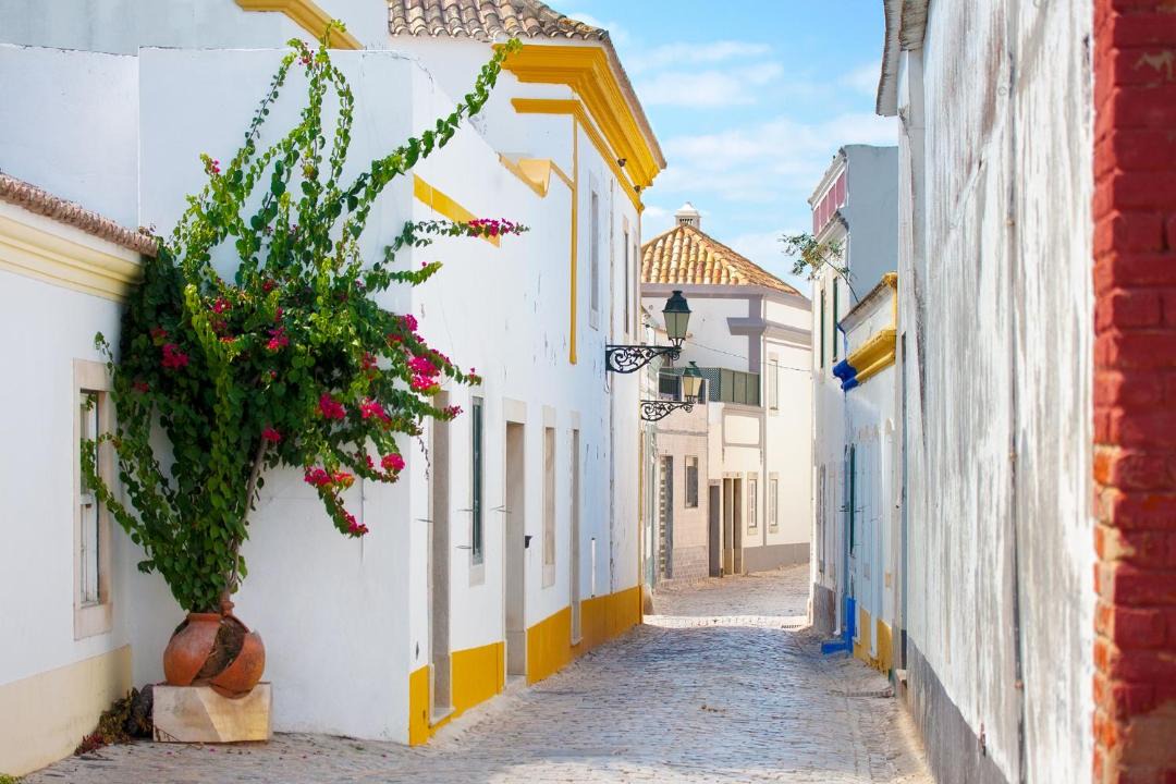 Photo of Others in Sao Pedro