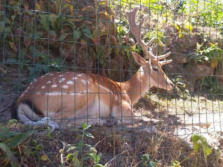 Photo of Outdoor in Bouro
