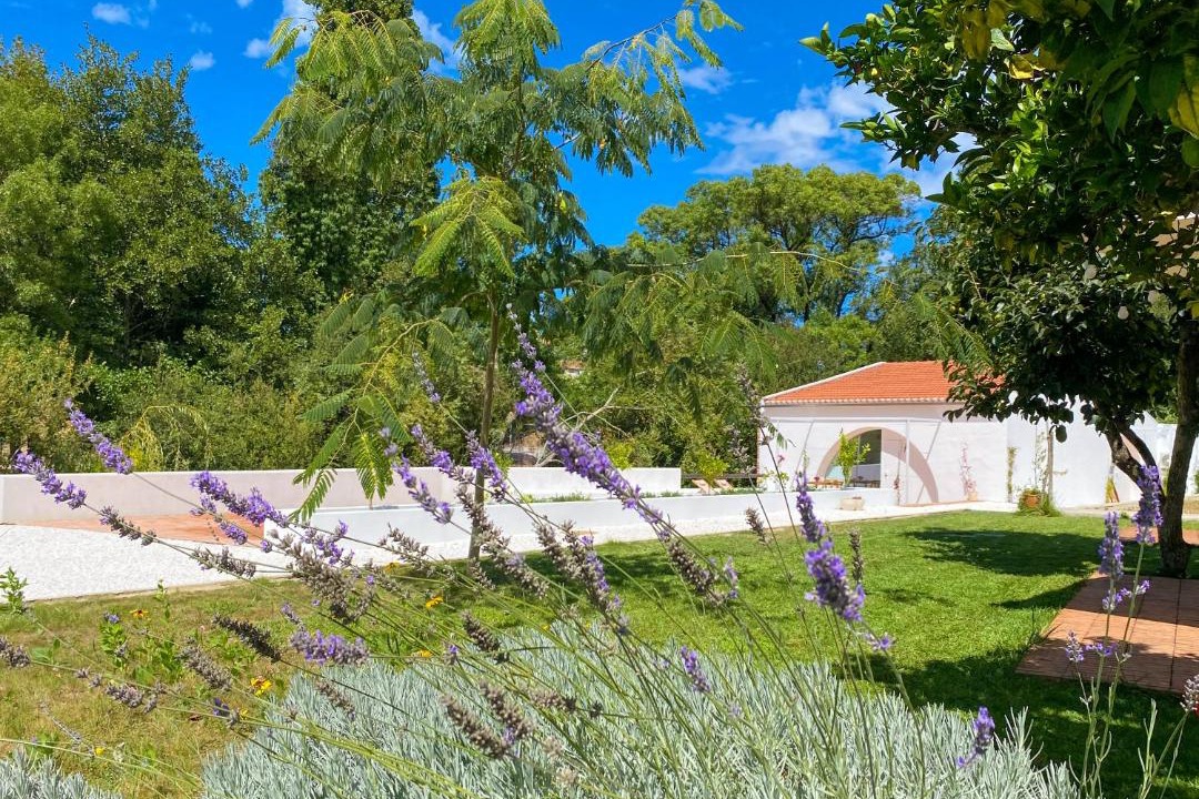 Photo of Others in Leiria