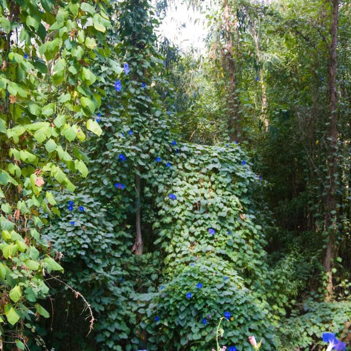 Photo of Others in Oliveira de Frades
