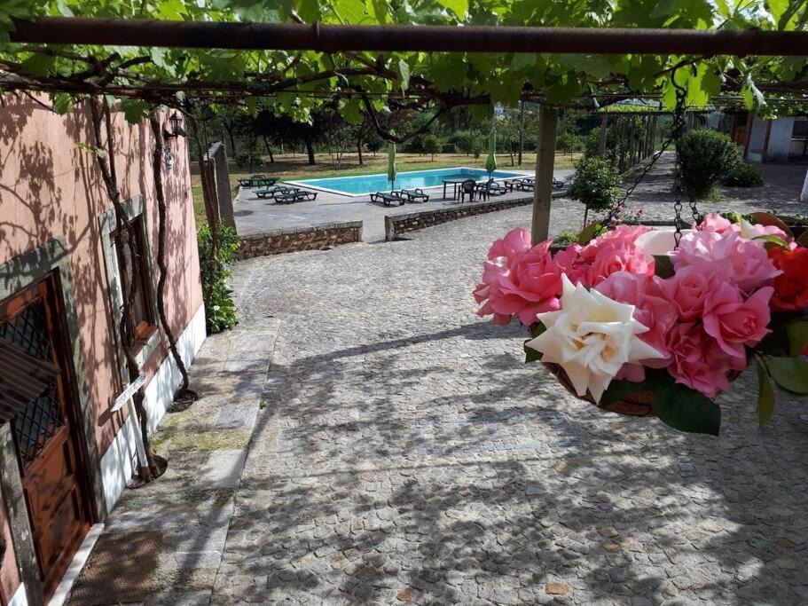 Photo of Others in Oliveira De Azemeis