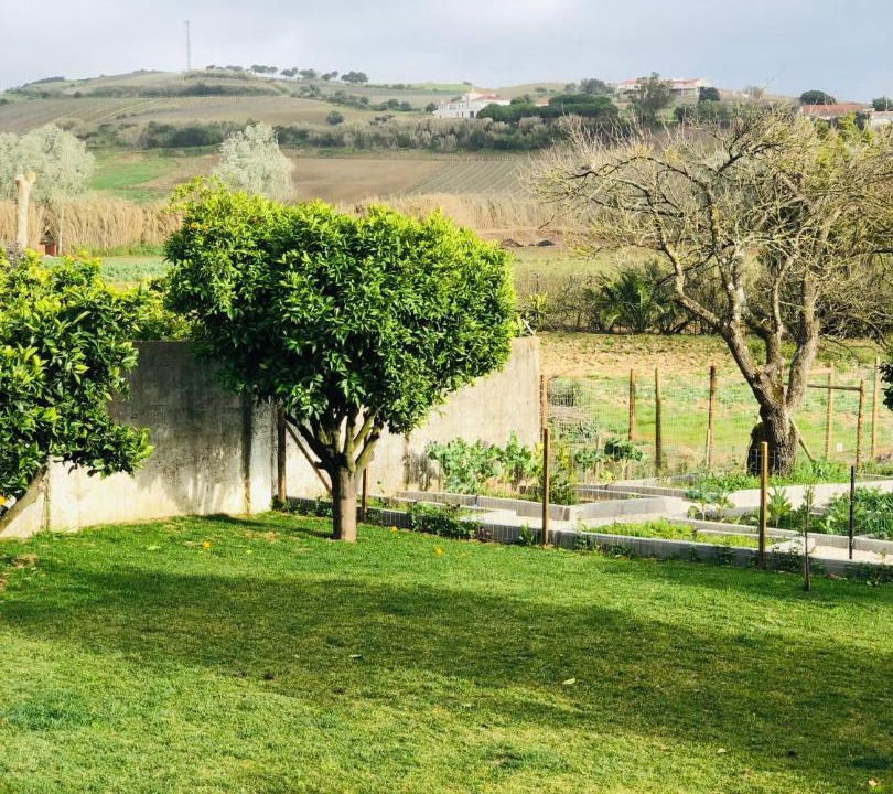 Photo of Others in Torres Vedras