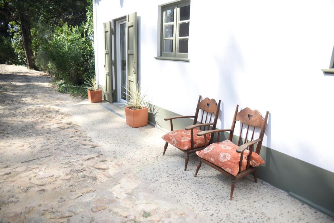 Photo of Others in Sao Martinho da Cortica