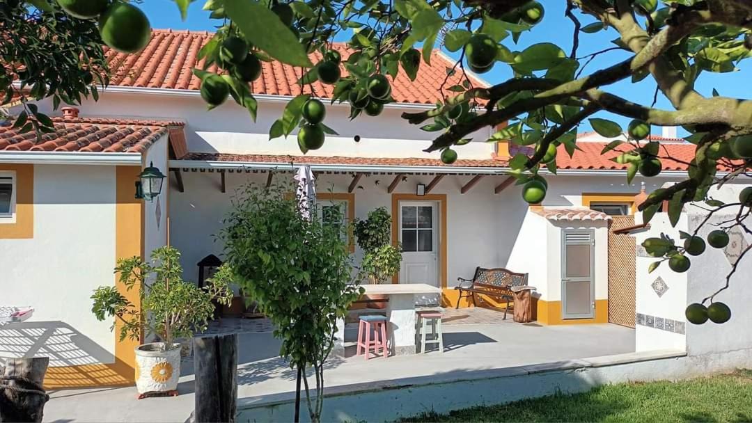 Photo of Others in Obidos