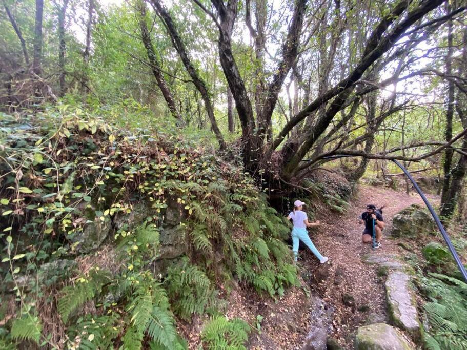 Photo of Outdoor in Soalhaes