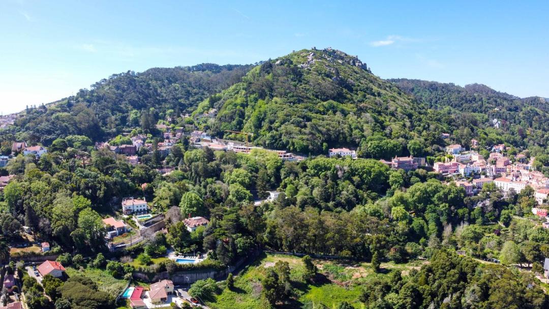 Photo of Others in Sintra