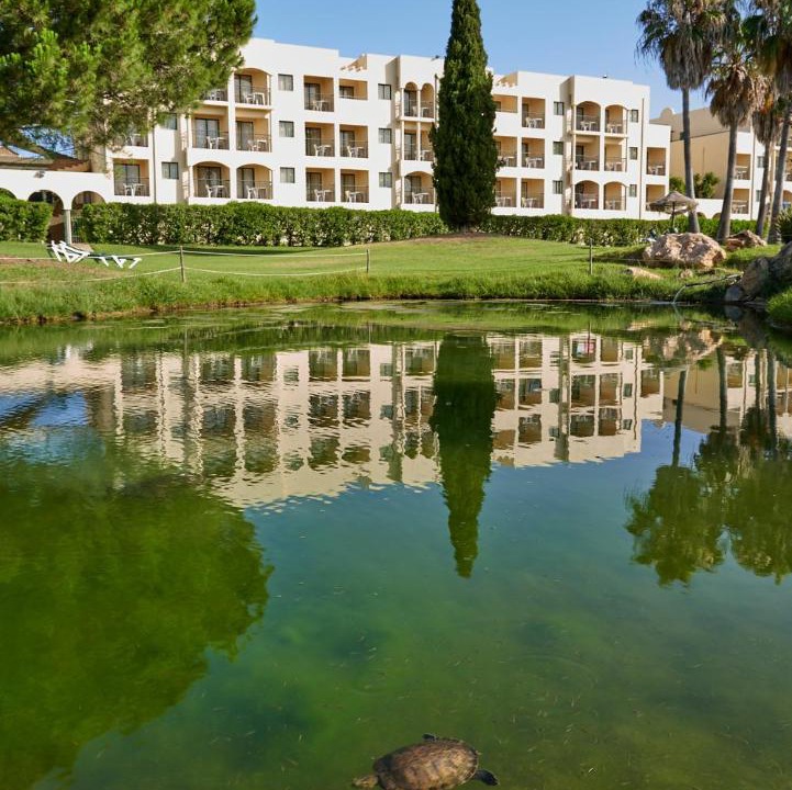 Photo of Others in Alvor