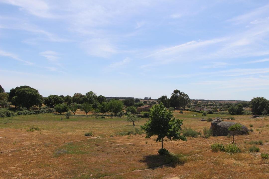Photo of Others in Alpalhao