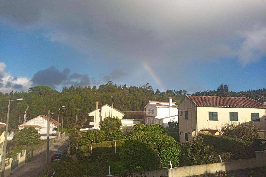 Photo of Others in Carvoeira