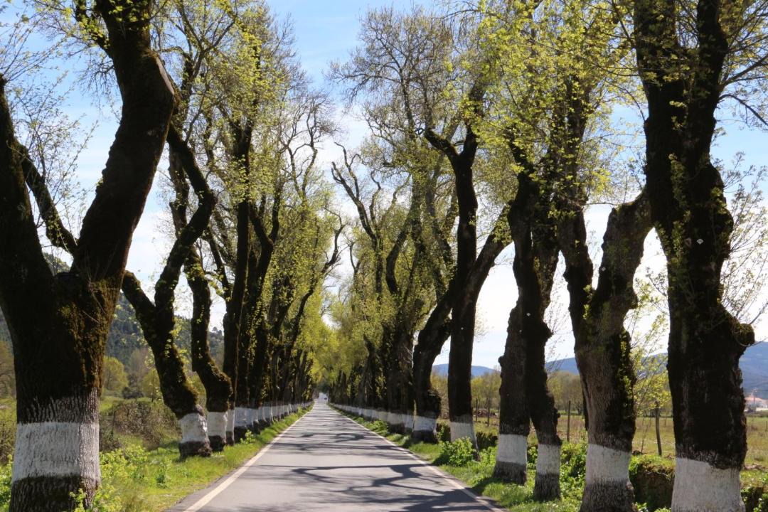 Photo of Others in Portagem