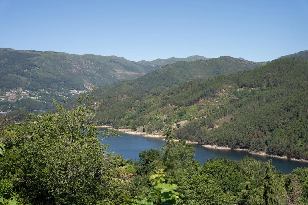 Photo of Others in Cova