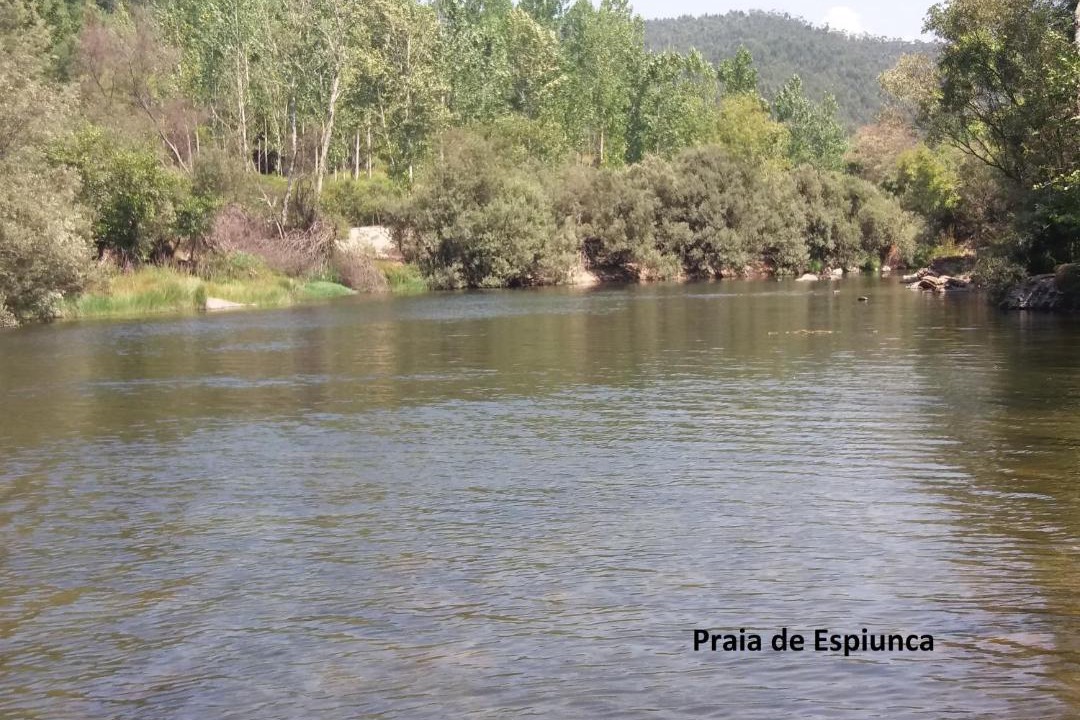 Photo of Others in Castelo de Paiva