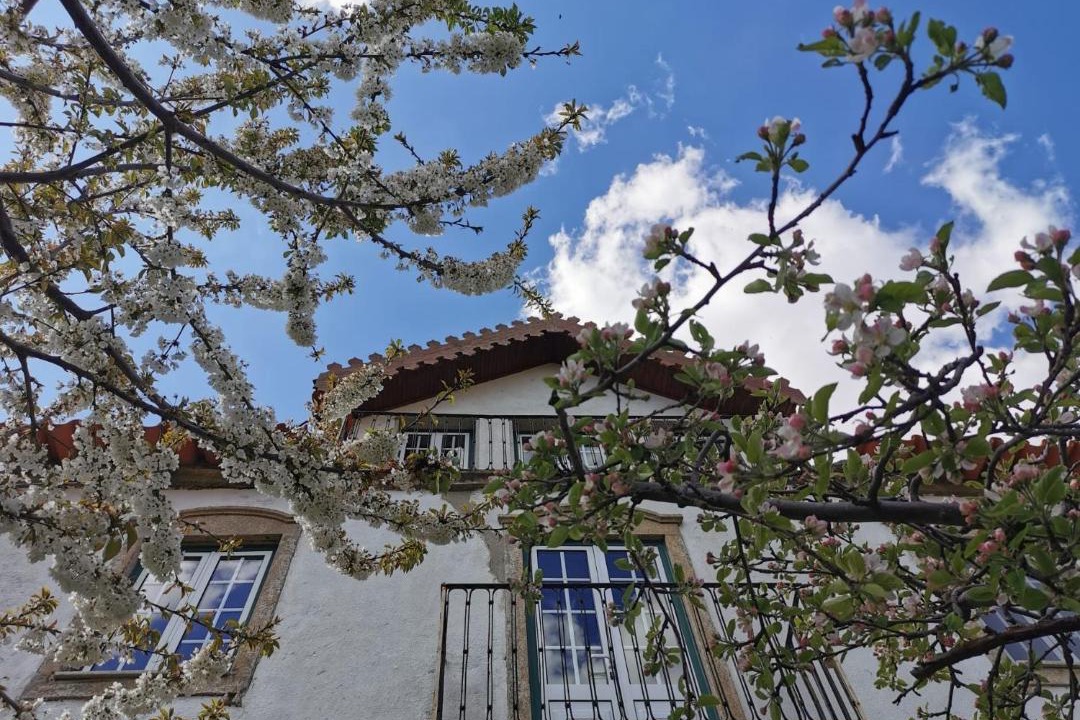 Photo of Others in Quinta das Quebradas