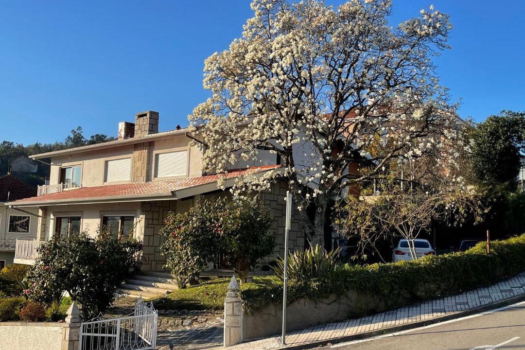 Photo of Others in Sever do Vouga