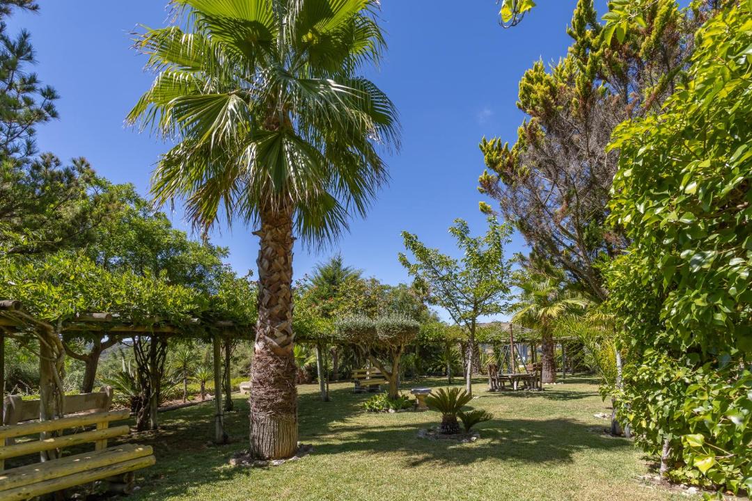 Photo of Others in Calhandriz