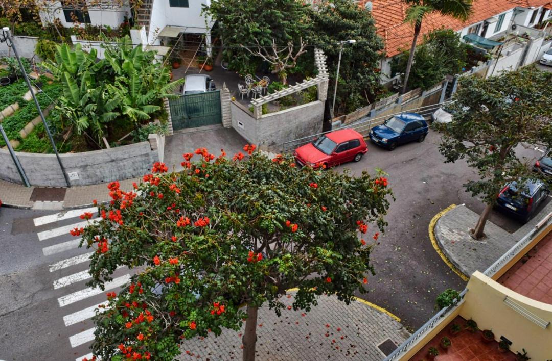 Photo of Others in Sao Pedro
