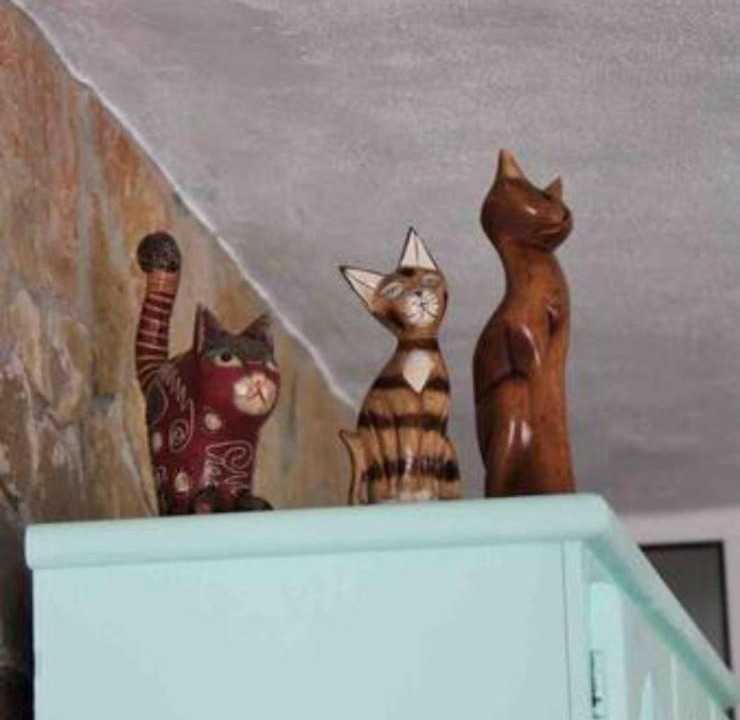 Photo of Others in Figueiro dos Vinhos