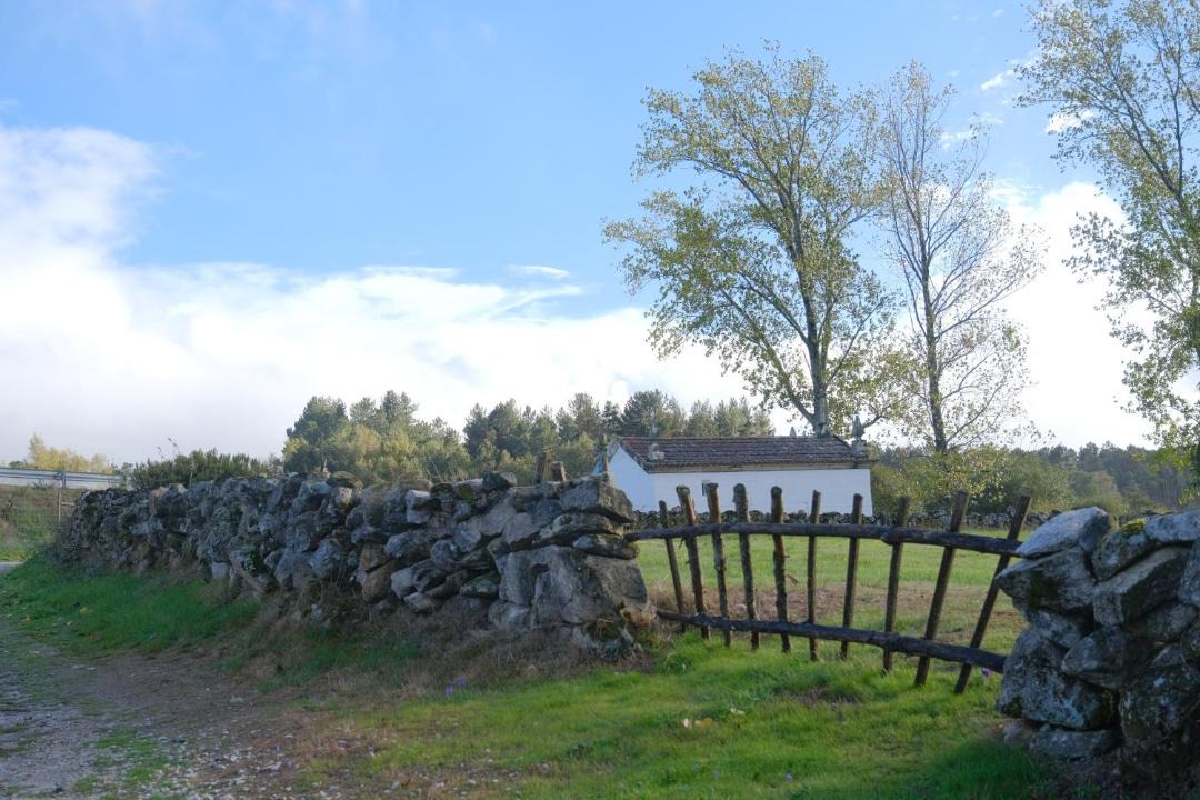 Photo of Others in Vila Pouca de Aguiar