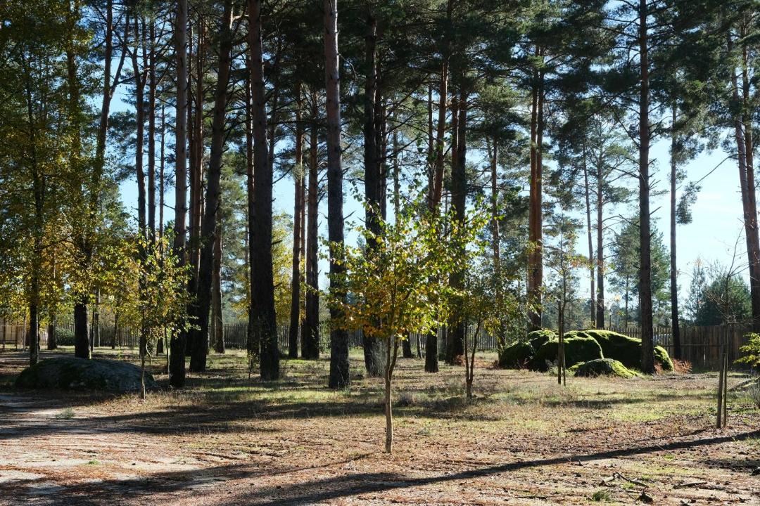 Photo of Others in Vila Pouca de Aguiar