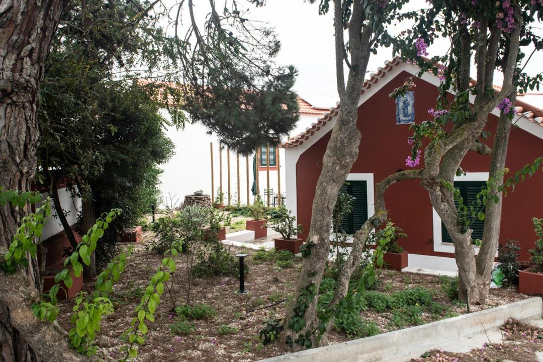 Photo of Others in Foz do Arelho