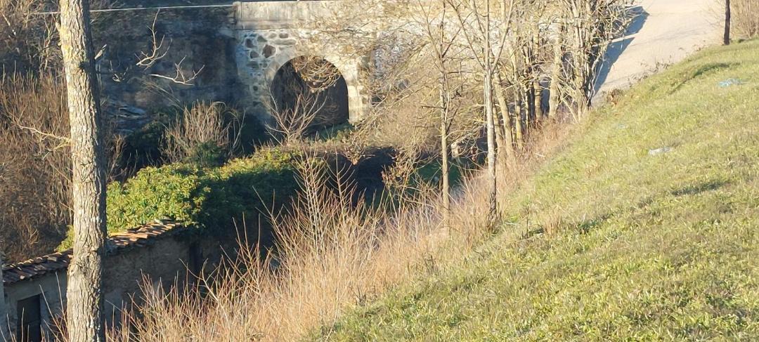 Photo of Others in Braganca