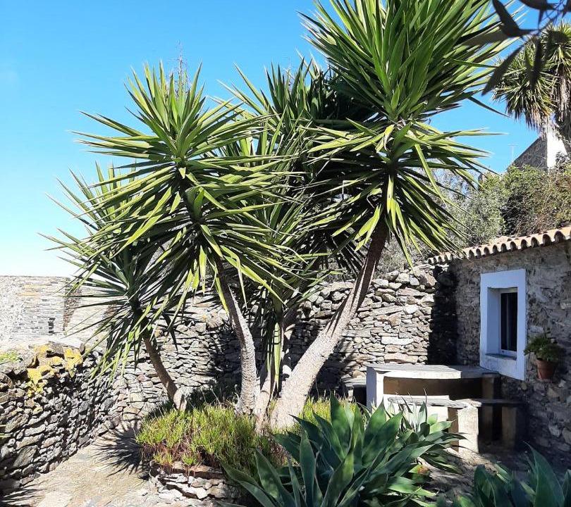 Photo of Buildings in Monsaraz