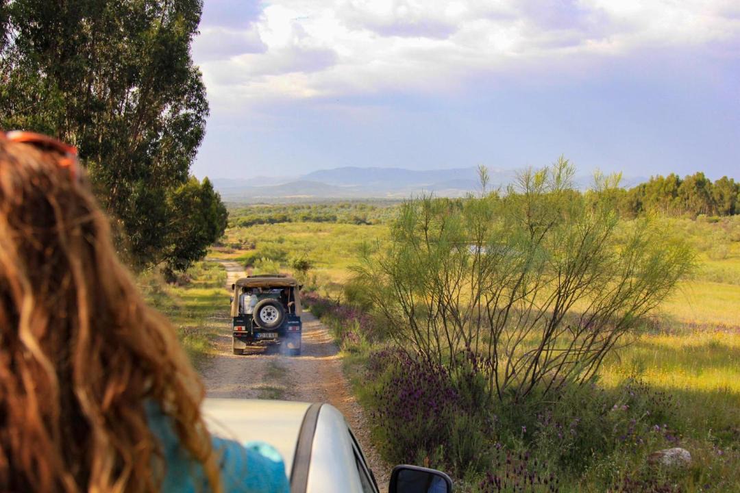Photo of Others in Idanha-a-Nova