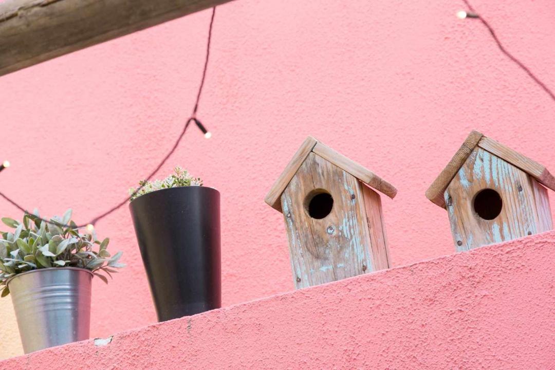 Photo of Others in Santo Amaro