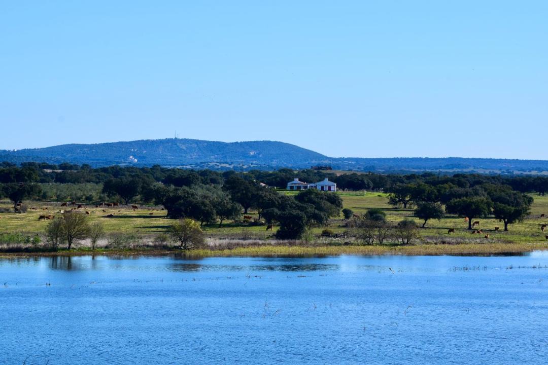 Photo of Others in Viana do Alentejo