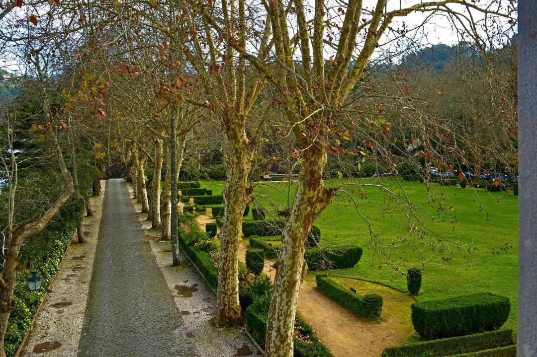 Photo of Others in Sintra