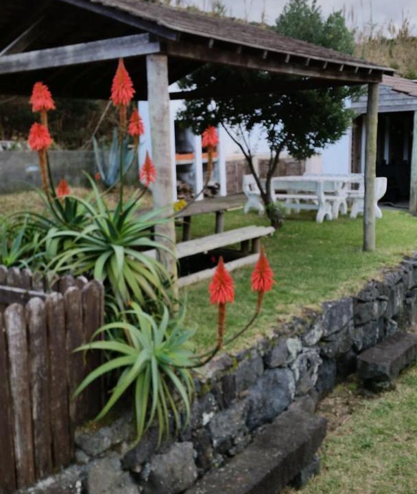 Photo of Others in Capelo