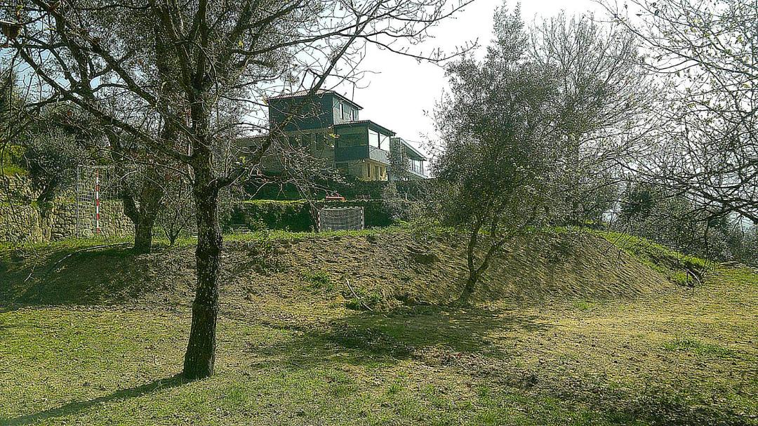 Photo of Others in Oliveira do Douro