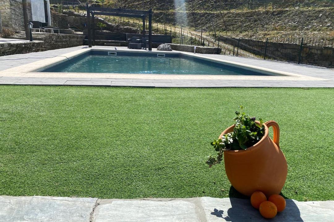 Photo of Others in Valenca do Douro