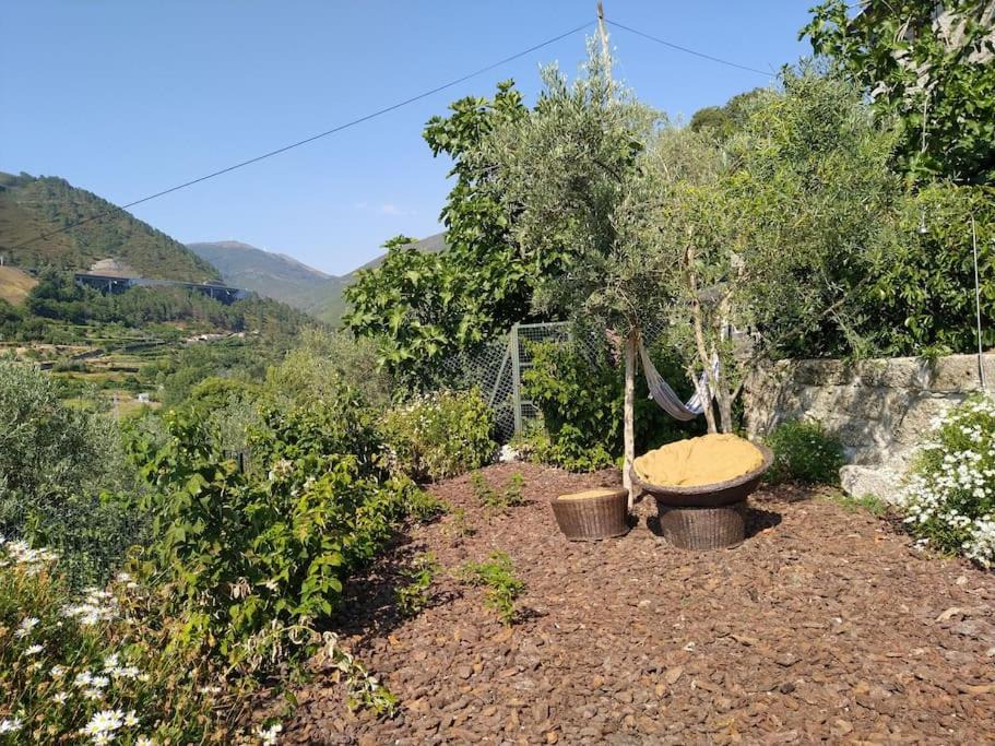 Photo of Others in Vinho